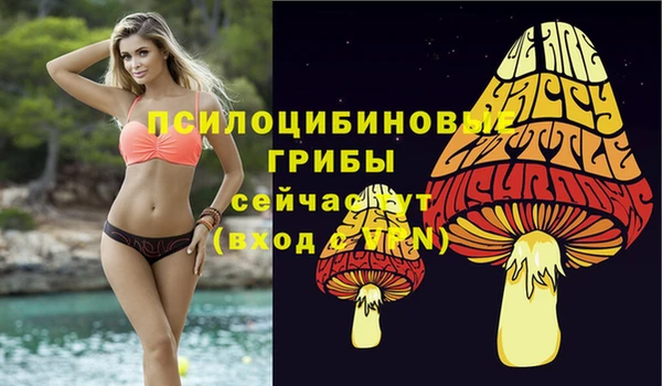 не бодяженный Рославль