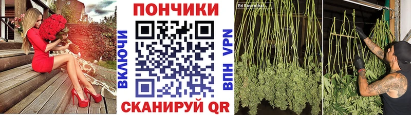 Бошки марихуана ГИДРОПОН  Агрыз 